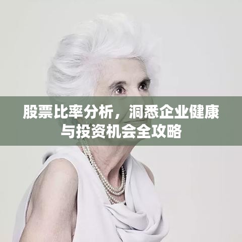 股票比率分析，洞悉企业健康与投资机会全攻略