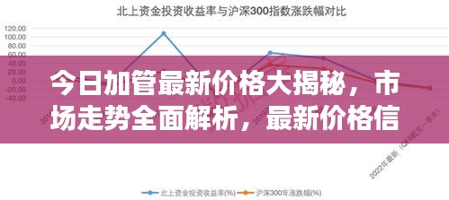 今日加管最新价格大揭秘，市场走势全面解析，最新价格信息一网打尽