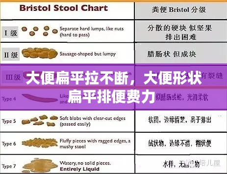 大便扁平拉不断，大便形状扁平排便费力 