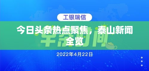 今日头条热点聚焦，泰山新闻全览