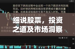 细说股票，投资之道及市场洞察深度解析