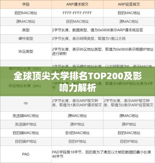 全球顶尖大学排名TOP200及影响力解析