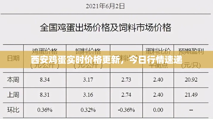 西安鸡蛋实时价格更新，今日行情速递