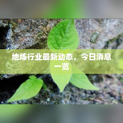 地炼行业最新动态，今日消息一览