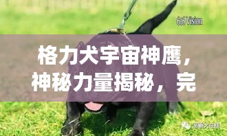 格力犬宇宙神鹰，神秘力量揭秘，完美结合探索之旅