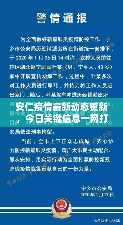 安仁疫情最新动态更新，今日关键信息一网打尽