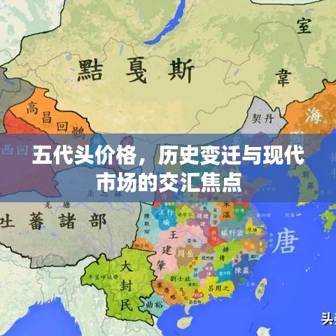 五代头价格，历史变迁与现代市场的交汇焦点