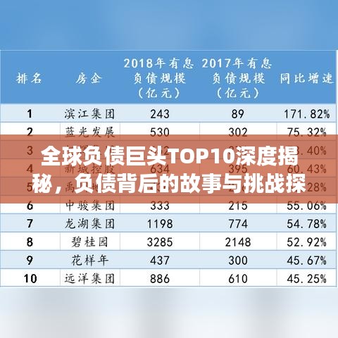 全球负债巨头TOP10深度揭秘，负债背后的故事与挑战探究