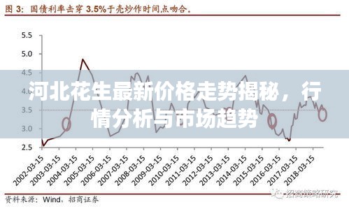 河北花生最新价格走势揭秘，行情分析与市场趋势