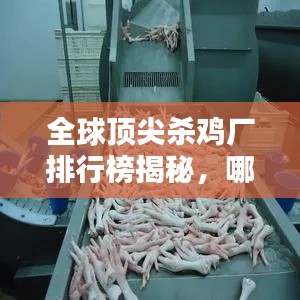 全球顶尖杀鸡厂排行榜揭秘，哪些企业荣登榜首？