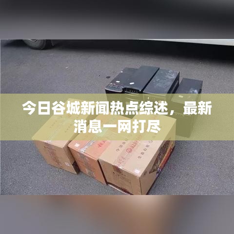 今日谷城新闻热点综述，最新消息一网打尽