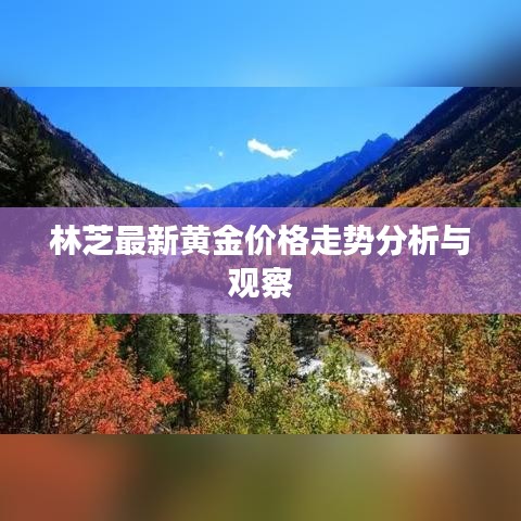 林芝最新黄金价格走势分析与观察