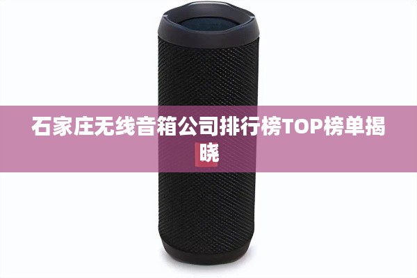 石家庄无线音箱公司排行榜TOP榜单揭晓