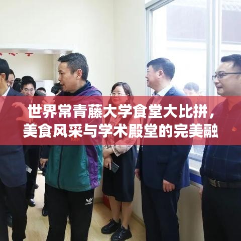 世界常青藤大学食堂大比拼，美食风采与学术殿堂的完美融合排名