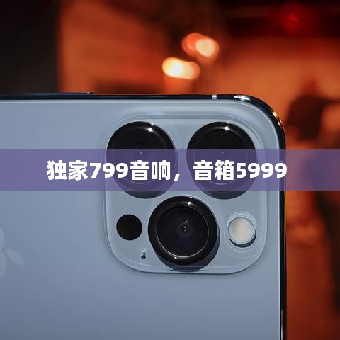 独家799音响，音箱5999 