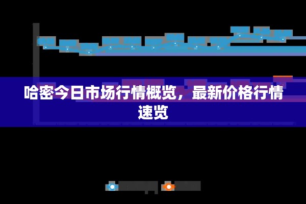 哈密今日市场行情概览，最新价格行情速览