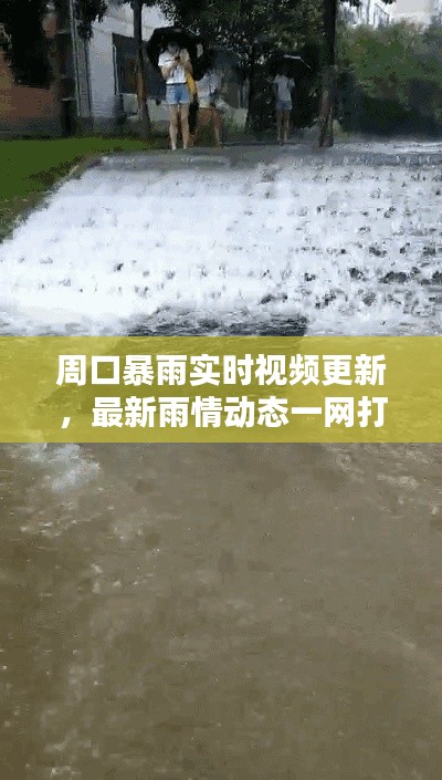 周口暴雨实时视频更新，最新雨情动态一网打尽