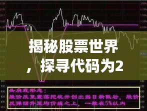 揭秘股票世界，探寻代码为2454股票背后的故事与奥秘