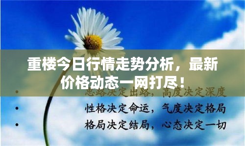 重楼今日行情走势分析，最新价格动态一网打尽！