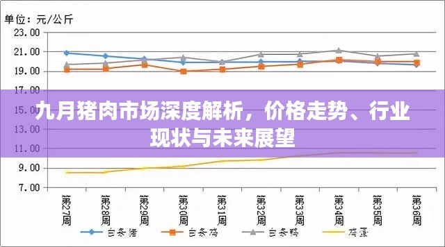 九月猪肉市场深度解析，价格走势、行业现状与未来展望