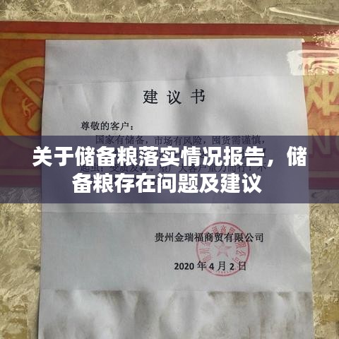 关于储备粮落实情况报告，储备粮存在问题及建议 