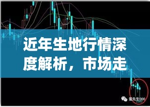 近年生地行情深度解析，市场走势、价格及未来展望