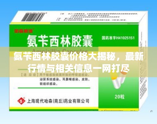 氨苄西林胶囊价格大揭秘，最新行情与相关信息一网打尽