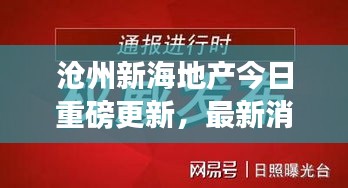 沧州新海地产今日重磅更新，最新消息揭秘！