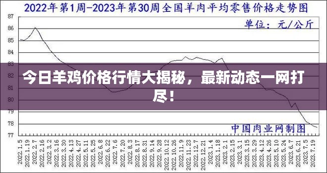 今日羊鸡价格行情大揭秘，最新动态一网打尽！