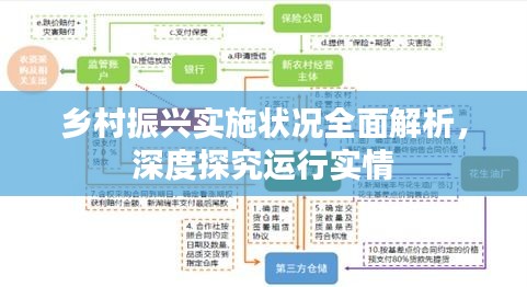 乡村振兴实施状况全面解析，深度探究运行实情