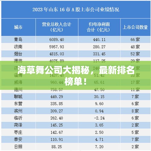 海草舞公司大揭秘，最新排名榜单！