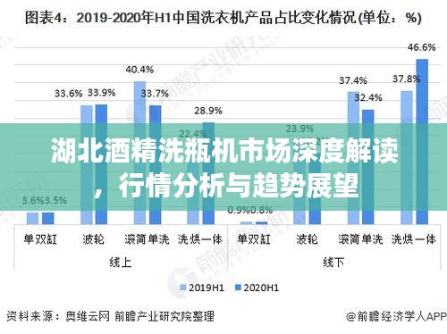 湖北酒精洗瓶机市场深度解读，行情分析与趋势展望