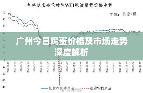 广州今日鸡蛋价格及市场走势深度解析