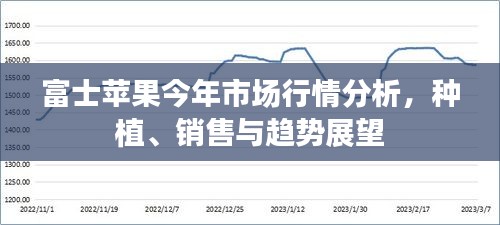 富士苹果今年市场行情分析，种植、销售与趋势展望