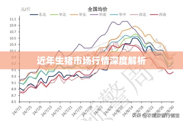 近年生猪市场行情深度解析