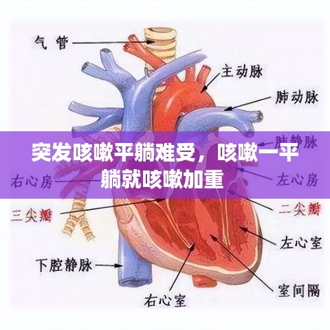 突发咳嗽平躺难受，咳嗽一平躺就咳嗽加重 