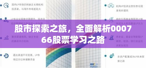 股市探索之旅，全面解析000766股票学习之路