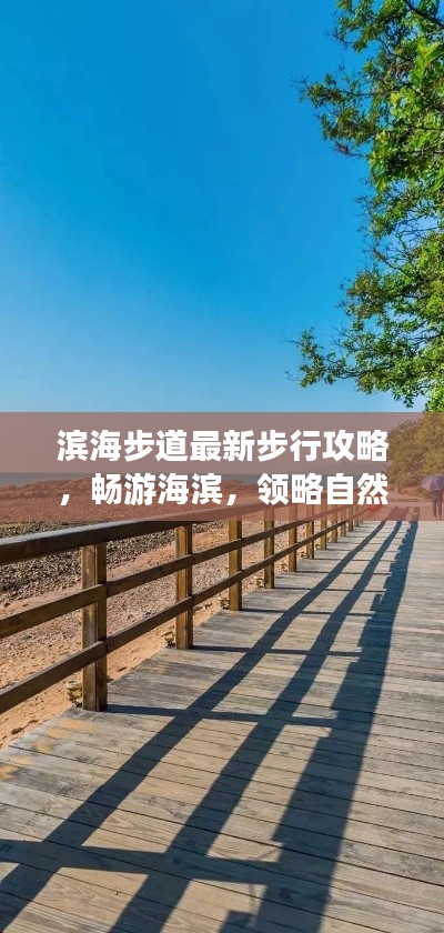 滨海步道最新步行攻略，畅游海滨，领略自然之美