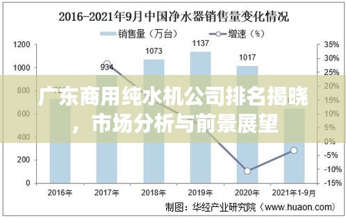 广东商用纯水机公司排名揭晓，市场分析与前景展望