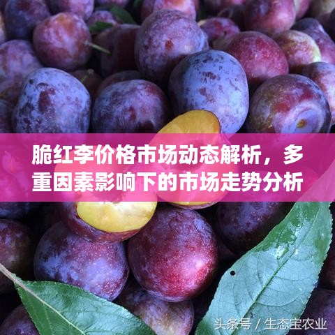 脆红李价格市场动态解析，多重因素影响下的市场走势分析