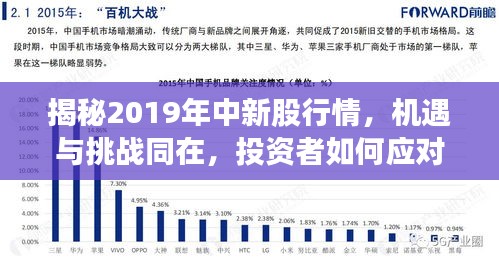 揭秘2019年中新股行情，机遇与挑战同在，投资者如何应对？