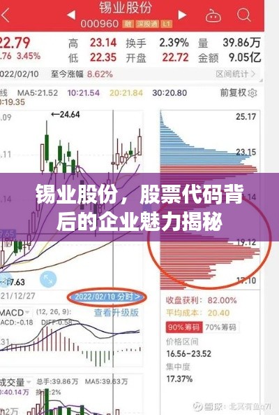 锡业股份，股票代码背后的企业魅力揭秘