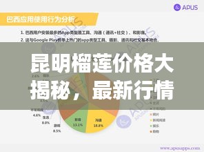 昆明榴莲价格大揭秘，最新行情分析报告