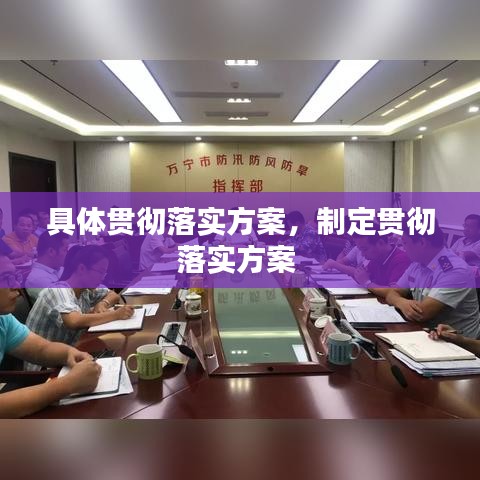 具体贯彻落实方案，制定贯彻落实方案 