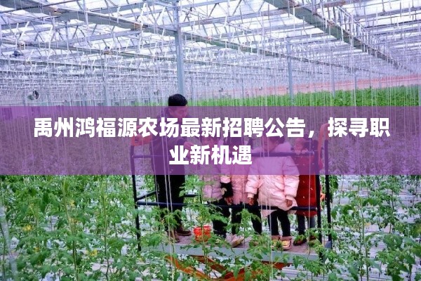 禹州鸿福源农场最新招聘公告，探寻职业新机遇