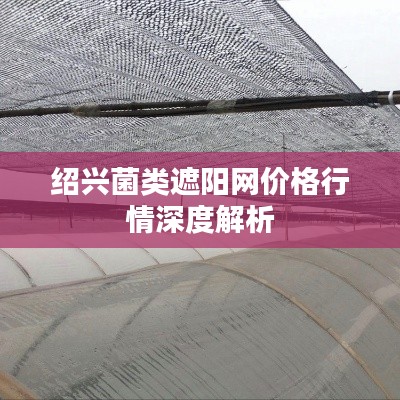 绍兴菌类遮阳网价格行情深度解析