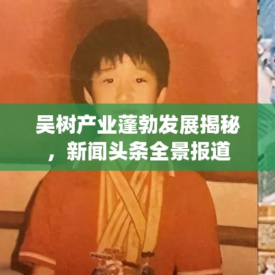 吴树产业蓬勃发展揭秘，新闻头条全景报道