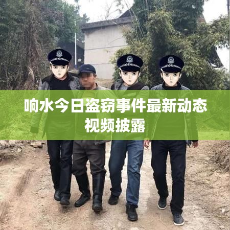 响水今日盗窃事件最新动态视频披露