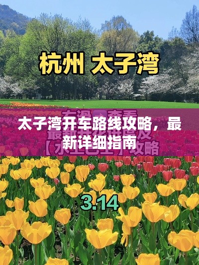 太子湾开车路线攻略，最新详细指南