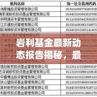 岩利基金最新动态报告揭秘，最新进展与关键信息全解析